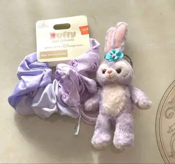 홍콩 디즈니랜드 스텔라루