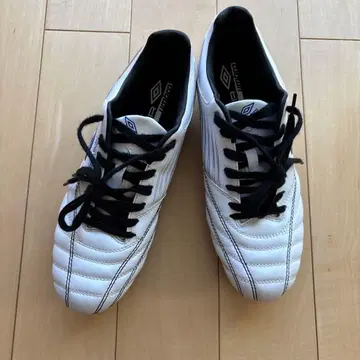 Umbro 화이트 스파이크