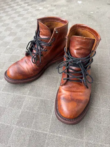 치페와 벡맨 브라운 에이징