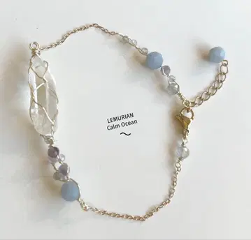 렘므리아 씨앗 블레스