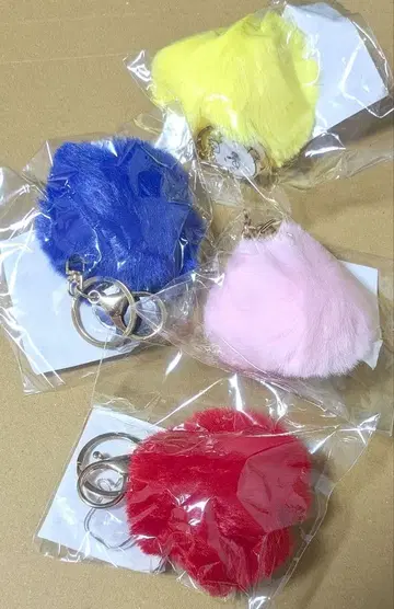 여자 연구 대학 폼폼 참