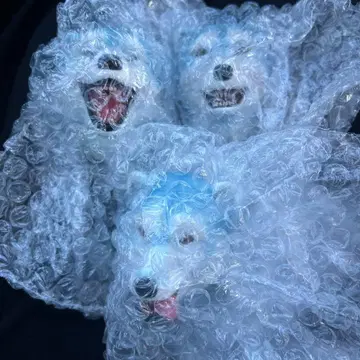 제일복권 MAN WITH A MISSION 페이스 마그넷 3종