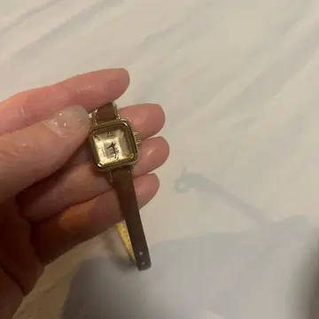 CABANE de ZUCCa 골드 브라운 시계