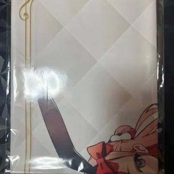 공녀 전하의 가정교사 애니메이트