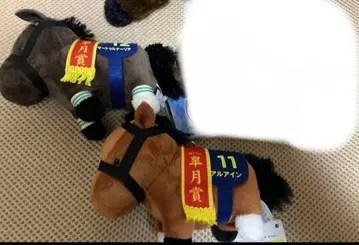 서러브레드 컬렉션 사투르날리아 알 아인