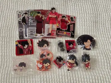 하이큐 쿠로오 테츠로