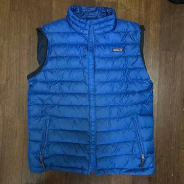 patagonia 다운 베스트 파랑