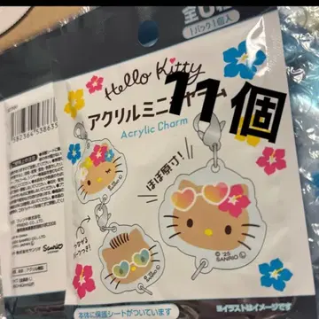 미개봉 Sanrio 일광화상 키티 참 11개입 헬로키티