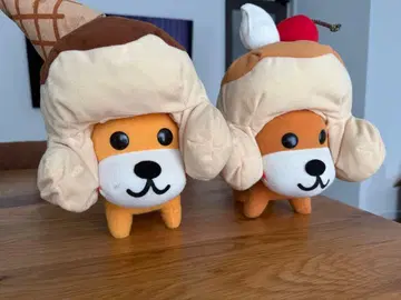 초레어 아프로견 세븐틴 아이스