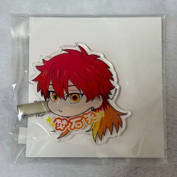 타키시야 파보테리아 페이스 클립