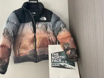 THE NORTH FACE 눕시 풍경 프린트 다운 자켓