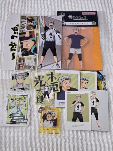 하이큐 보쿠토 코타로