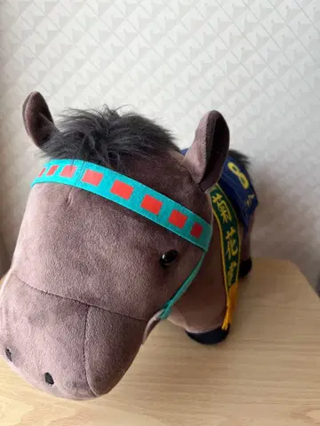 라이스 샤워 8번 국화상 서러브레드 컬렉션