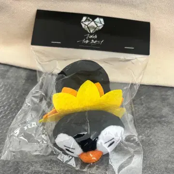 준호 JUNHO 2PM 해바라기 펜펜 리스트 밴드