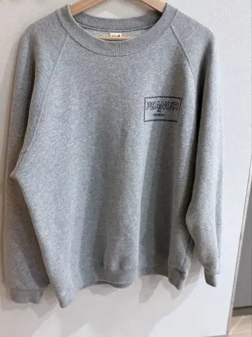 저널 스탠다드 트레이닝복 맨투맨 스누피