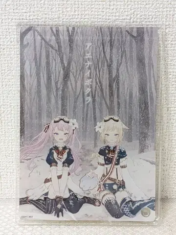 HIMEHINA 아크릴 아트