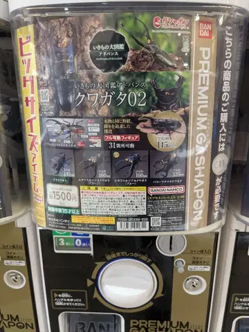 생물대도감 사슴벌레 02 오오쿠와가타