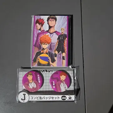 하이큐!! 복권 G상 F상