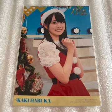 노기자카46 카키 하루카 노기자카 스타 탄생! 브로마이드