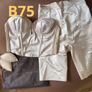 THE TREAT DRESSING 브라탑 세트