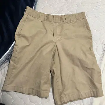 Dickies 베이지 숏팬츠