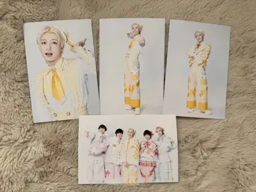 팬더드래곤 요타 집합 엽서 Winter Song 방위대