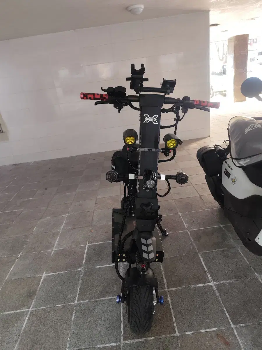 Alcon Dual on Bunjang Global Site.