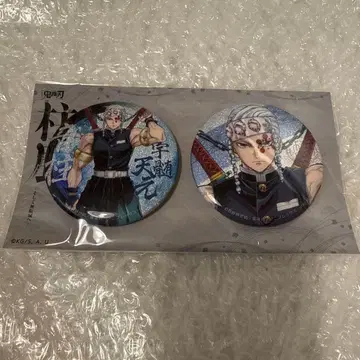 우즈이 텐겐 기둥전 캔뱃지 세트