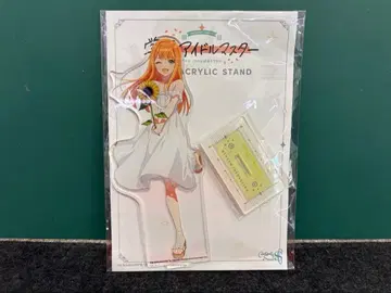 시운 세이카 팝업 스토어 아크릴 스탠드 학마스