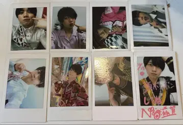 팬더드래곤 나기 폴라로이드 하피카