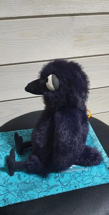 새상품 jelly cat hocus crow 까마귀