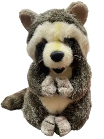 퍼스트사 너구리 봉제 인형 WOODY CHAPMAN 레어