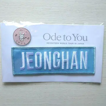 SEVENTEEN 세븐틴 세부치 정한 와펜 배지 핀 배지 세트