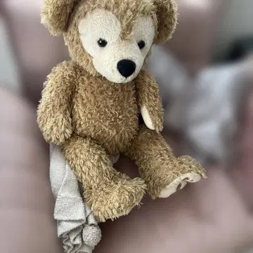 베이지색 곰 봉제 인형