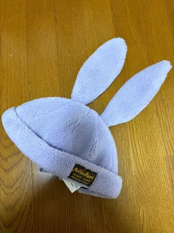 디즈니씨 판타지 스프링스 로스트키즈 팬캡