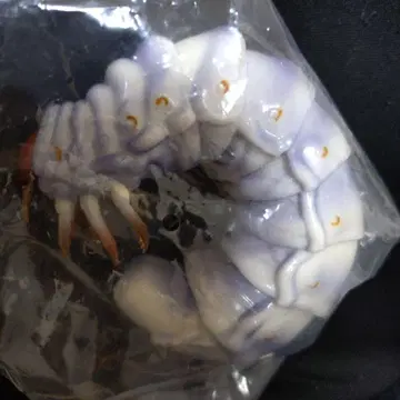 톱사슴벌레 유충 생물대도감 사슴벌레 02 곤충 생물 가챠