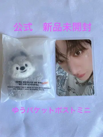 방찬 마이크로 키링 stray kids 울프찬 skzoo