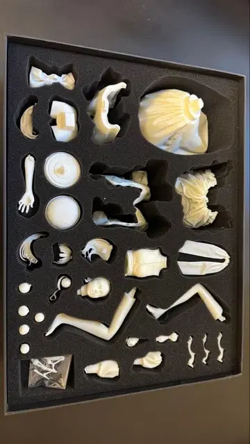 juanjuan [ APPLE ] WF 원더 페스티벌 레진 키트