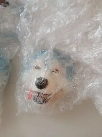 제일복권 MAN WITH A MISSION H상 페이스 마그넷 2