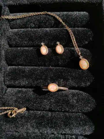 반돔 아오야마 maomao 3종 세트