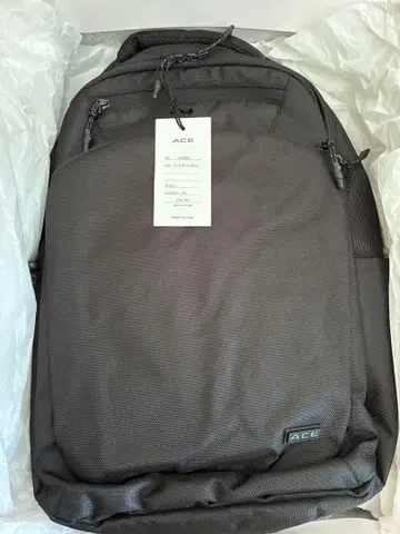 ACE 비즈니스 백 블랙