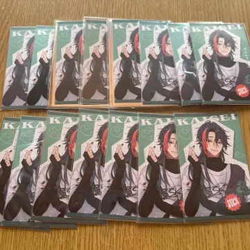 니지산지 카이세이 폴라로이드