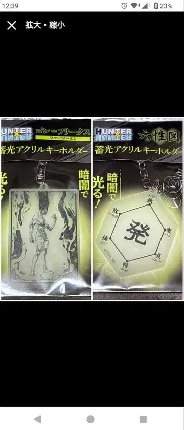 HUNTER x HUNTER 축광 아크릴 키링