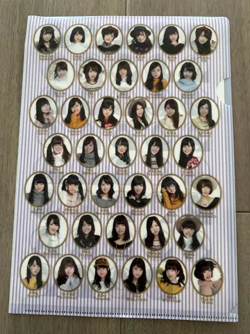 노기자카46 클리어 파일 씰 포함