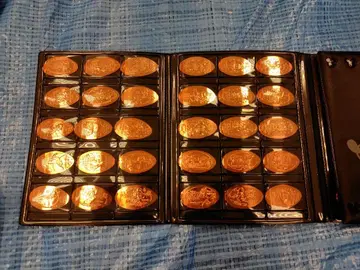 SouvenirMedallion 디즈니랜드 2010 수베니어 메달