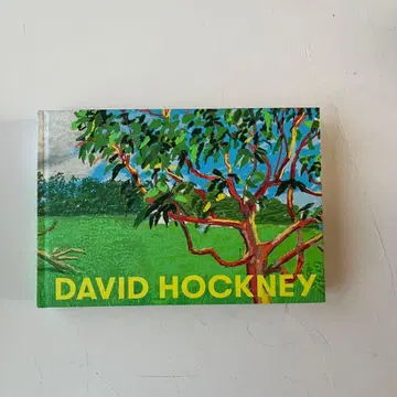 데이비드 호크니전 도록