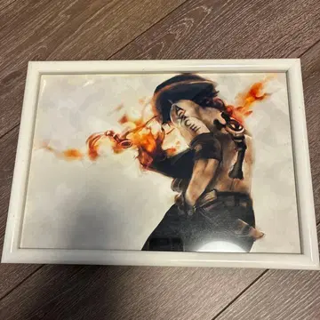 원피스 에이스 액자 유리