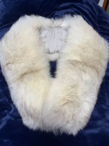 실크 안감 블루 폭스 숄