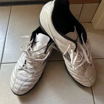 MONARCIDA NEO 26.5cm