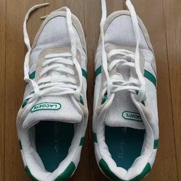 LACOSTE 스니커즈 7.5 UK 화이트/그린